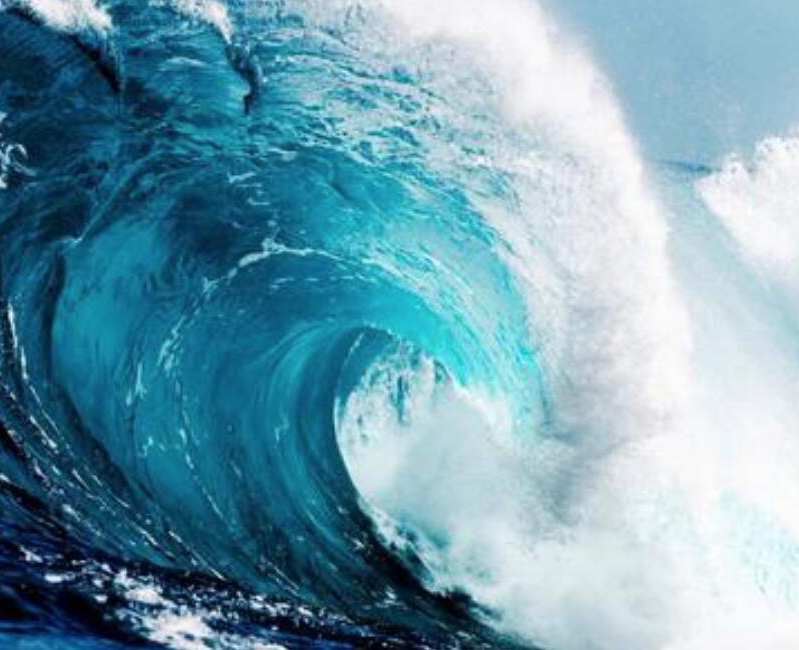 【財經(jīng)翻譯官】浪奔、浪流