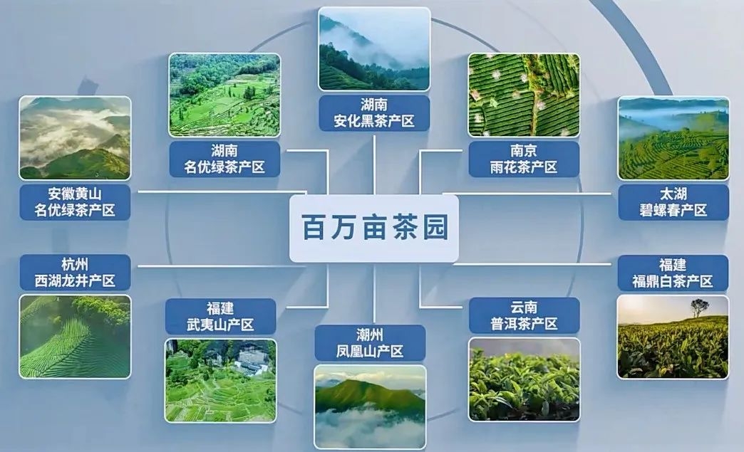 7月銀川這場(chǎng)盛會(huì)，或?qū)⒔沂鞠M(fèi)信心深層密碼