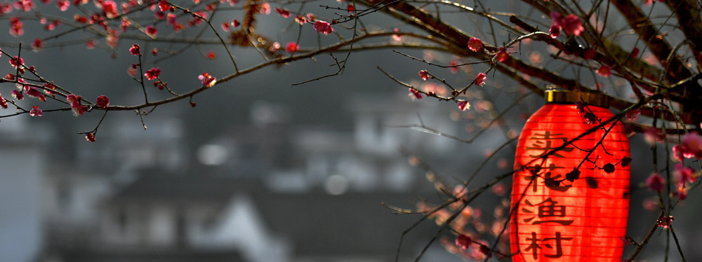 春來花開，綻放正當(dāng)時(shí)