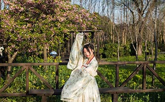 徜徉櫻花花海，來場動(dòng)漫之旅