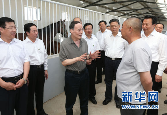 這是7月3日，王岐山在錫林浩特市義合良種馬繁育基地考察。新華社記者 龐興雷 攝