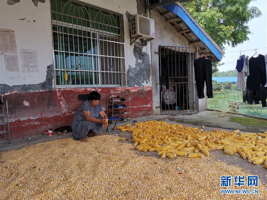 （新華視點(diǎn)·聚焦餐桌外的浪費(fèi)·圖文互動(dòng)）（3）農(nóng)戶儲(chǔ)糧損失達(dá)8%！設(shè)施普遍簡(jiǎn)陋，蟲害霉變堪憂