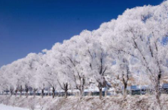 全國初雪時間表出爐 看看你離初雪還有多遠？