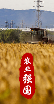 農(nóng)業(yè)強(qiáng)國(guó)是社會(huì)主義現(xiàn)代化強(qiáng)國(guó)的根基。