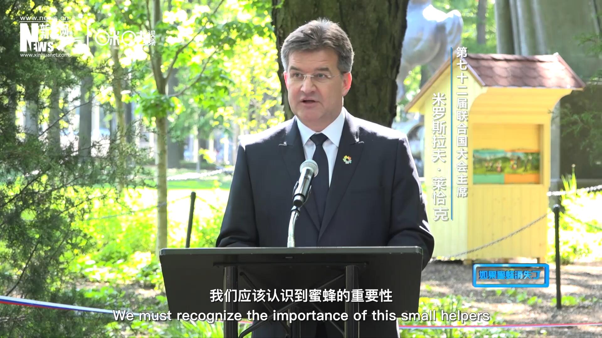 我們應該認識到蜜蜂的重要性，所以我們用“世界蜜蜂日”提高大家保護蜜蜂的意識，并且用實際行動去保護蜜蜂