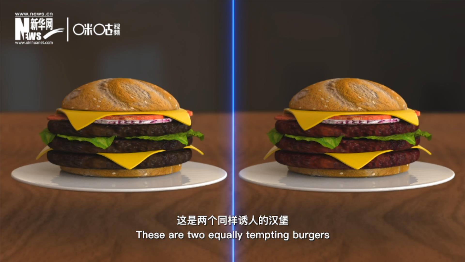 人造肉漢堡能在生產(chǎn)過(guò)程中節(jié)約水、土地、排放以及能量