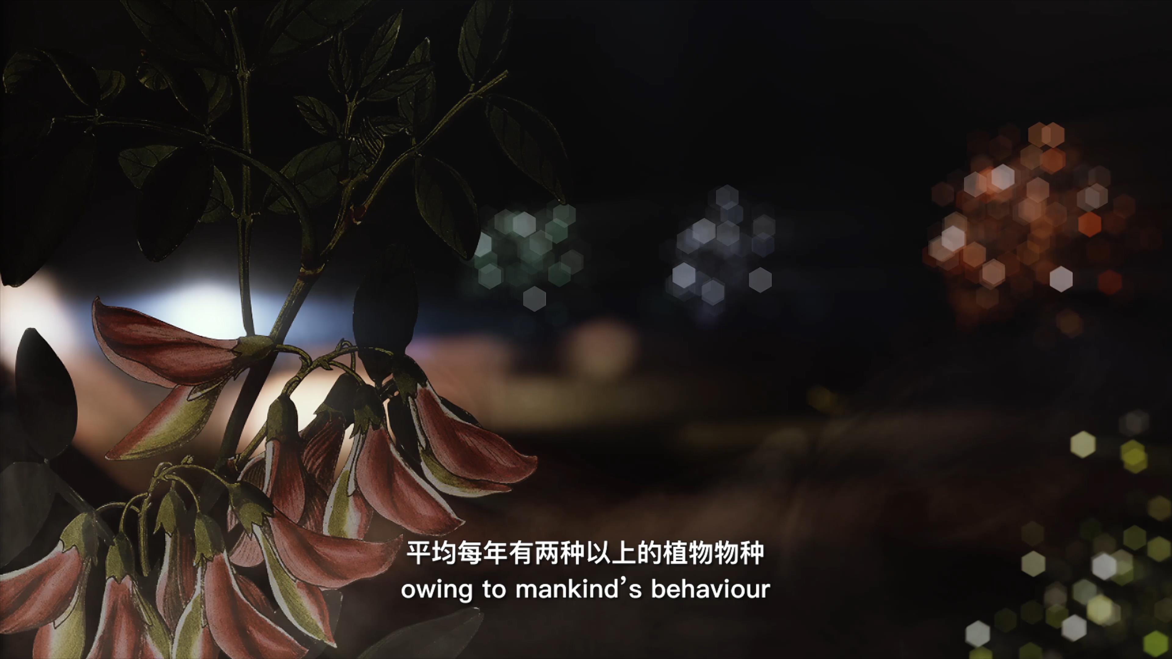 自18世紀(jì)中葉以來(lái)，許多植物物種因?yàn)槿祟?lèi)的原因而從地球上消失