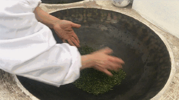申遺，把雨花茶手藝傳承下去