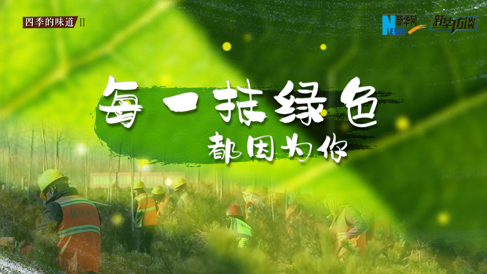 千年秀林，每一抹綠色都因為你