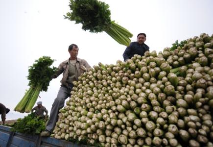 劉永富：發(fā)展產(chǎn)業(yè)脫貧仍是精準(zhǔn)扶貧、精準(zhǔn)脫貧主攻方向