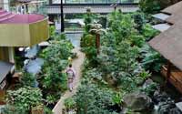 震撼！日本最豪華的廁所（組圖）