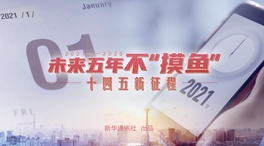 未來五年，不“摸魚”