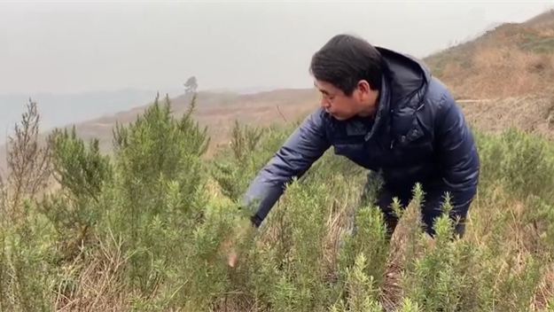 新春走基層｜脫貧后，駐村扶貧隊長在干啥？
