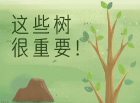 這些樹很重要！