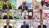 看快閃《不遠萬里來看“你”》，聽老外點贊進博會